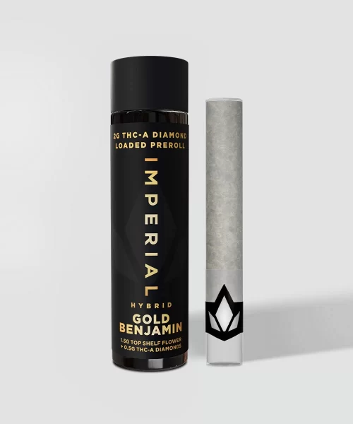 Gold Benjamin Imperial 2G THCA Pre-Rolls